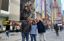 Akihabara Electric Town Adventure with an Expert Guide