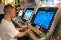 Akihabara Electric Town Adventure with an Expert Guide