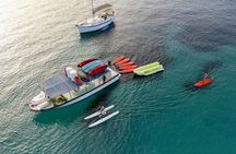 Boat Tour with Tapas, Open Bar and Water Sports in Ibiza