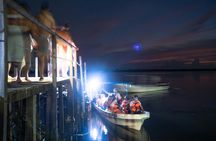 6-Hours Tortuguero Camp and Las Negras Bioluminescence Tour