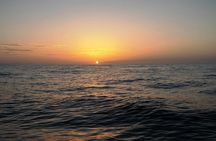 Early Morning Boat Tour in Huatulco with Marine Life Sightings