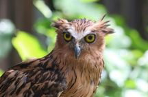 Bali Bird Park entrance ticket