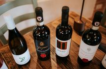 Tuscany day trip with Chianti, Siena and San Gimignano
