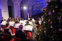Schönbrunn: Christmas market, palace tour and concert