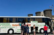 Naples and Pompeii Smart Day Tour from Rome