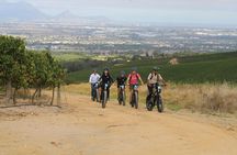 E-Bike Cape Winelands Half Day Tour from Cape Town