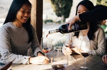 Wine Experience through Chianti Hills from Florence