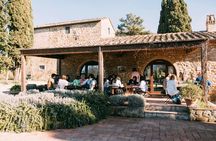 Wine Experience through Chianti Hills from Florence