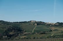 Wine Experience through Chianti Hills from Florence