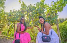 Small-group Chianti wine tasting and dinner in the vineyard