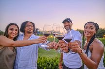 Small-group Chianti wine tasting and dinner in the vineyard