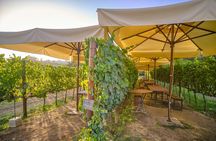 Sunset in Siena and dinner at a Chianti winery