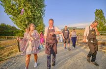 Sunset in Siena and dinner at a Chianti winery