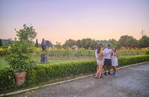 Sunset in Siena and dinner at a Chianti winery