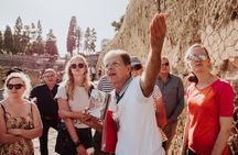 Herculaneum Small Group Tour With an Archaeologist