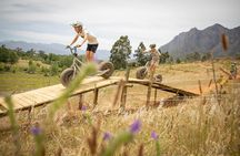 Stellenbosch Gravity Scooter Adventure