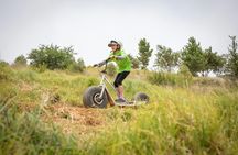 Stellenbosch Gravity Scooter Adventure