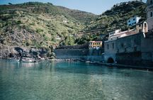 Private tour of Cinque Terre from Florence