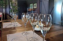 Wine Tasting Tour in Prosecco Hills in Veneto