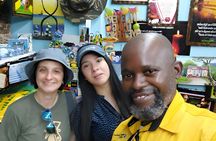 Kingston's Culture and Heritage Private Tour