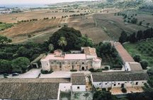 Small-Group Sicilian Wine Tasting in Syracuse