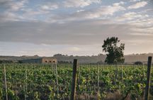 Small-Group Sicilian Wine Tasting in Syracuse