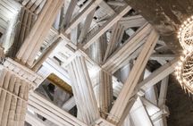 Auschwitz-Birkenau and Wieliczka Salt Mine Guided Tour from selected Meeting Point