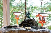 Mount Fuji with Kawaguchiko Ropeway Tour from Tokyo