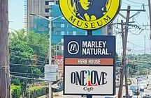 Kingston's Culture and Heritage Private Tour