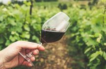 Wineries Guided Tour and Wine Tasting from Kavala with Transportation