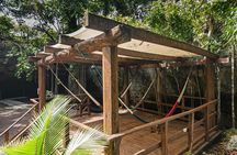 Day trip to the archaeological zone of Tulum and Cenote