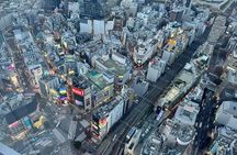 Asakusa Temple and Shibuya Sky Half Day Walking Guided Tour in Tokyo