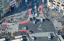 Asakusa Temple and Shibuya Sky Half Day Walking Guided Tour in Tokyo