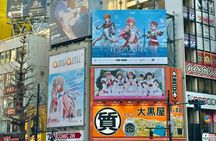 Akihabara Subculture and Shibuya Street Kart Tour in Tokyo