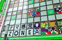 Akihabara Subculture and Shibuya Street Kart Tour in Tokyo