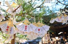 Ine Town, Amanohashidate and Miyama Village Full-Day Tour from Osaka