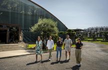 Winery Experience with Tastings and Setúbal Tour from Lisbon