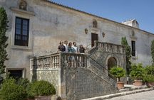 Winery Experience with Tastings and Setúbal Tour from Lisbon