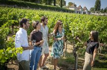 Winery Experience with Tastings and Setúbal Tour from Lisbon