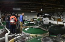 Sake Brewery Tour with Sake Tasting