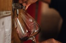 Backstage Brunello and Gourmet Wine-Food Tasting in Montalcino
