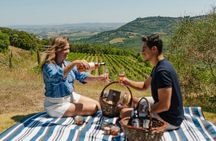 Picnic With a Bottle of Wine in Montalcino With Optional Wine Tour