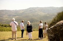 Guided Wine Tour with Tasting in Montalcino