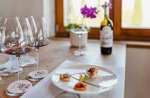 Gourmet Wine and Food Tasting in Montalcino