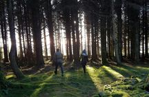 Trails and Tombs tour in the Dublin mountains