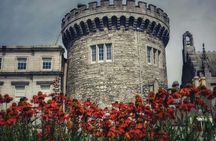 Exclusive private guided tour through the history of Dublin with a local