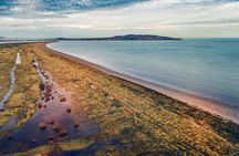 Dublin Bull Island guided walking tour