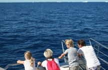 Roundtrip Ferry Santa Eulalia to Formentera with Bike Board Option