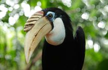 Entrance tickets to Bird Paradise