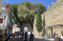 Ticket and Guided Tour of Castelo de São Jorge